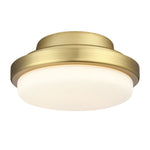 Fanimation LK8514BS TriAire Custom LED Light Kit, Brushed Satin Brass: product photo [Fanimation-LK8514BS|CUSTOM|1]