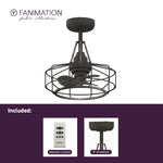 Fanimation LP3071LGR Archive - 18 inch - GR with WE Blades: what's included card [Fanimation-LP3071LGR|CUSTOM|2]