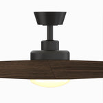 Fanimation LP7614LAZ Radius - 60 inch - AZ with Bourbon Blades and LED LK: front view [Fanimation-LP7614LAZ|CUSTOM|11]