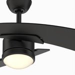 Fanimation LP8066LBL AireDuo - 48 inch - BL with BL Blades and LED LK: bottom view [Fanimation-LP8066LBL|CUSTOM|10]