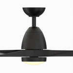 Fanimation LP8333LBL Prop - 52 inch - BL with BL Blade and LED LK: front view [Fanimation-LP8333LBL|CUSTOM|11]