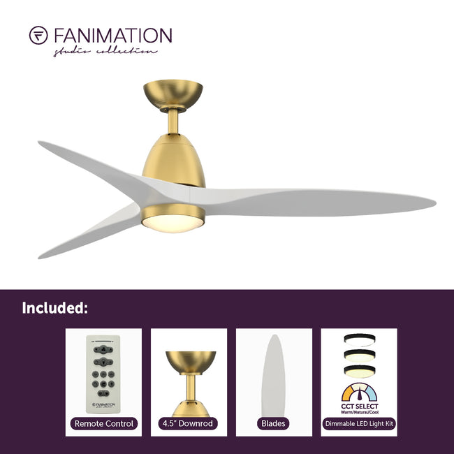 Fanimation LP8333LBS Prop - 52 inch - BS with MW Blade and LED LK: what's included card [Fanimation-LP8333LBS|CUSTOM|2]