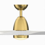 Fanimation LP8333LBS Prop - 52 inch - BS with MW Blade and LED LK: front view [Fanimation-LP8333LBS|CUSTOM|11]