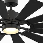 Fanimation LP8543LBL Kindred - 60 inch - BL with BL Blades and LED LK: bottom view [Fanimation-LP8543LBL|CUSTOM|10]
