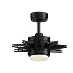 Fanimation MAD8152BLW Odyn Custom Motor, Black: product photo [Fanimation-MAD8152BLW|CUSTOM|1]