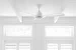 Visual Comfort Fan-3AVLCR54RZWD|CUSTOM|3