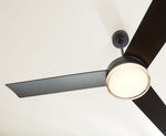 Visual Comfort Fan-3CQR56MBKD|CUSTOM|2