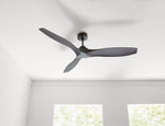Visual Comfort Fan-3CLNCSM60MBK|CUSTOM|4