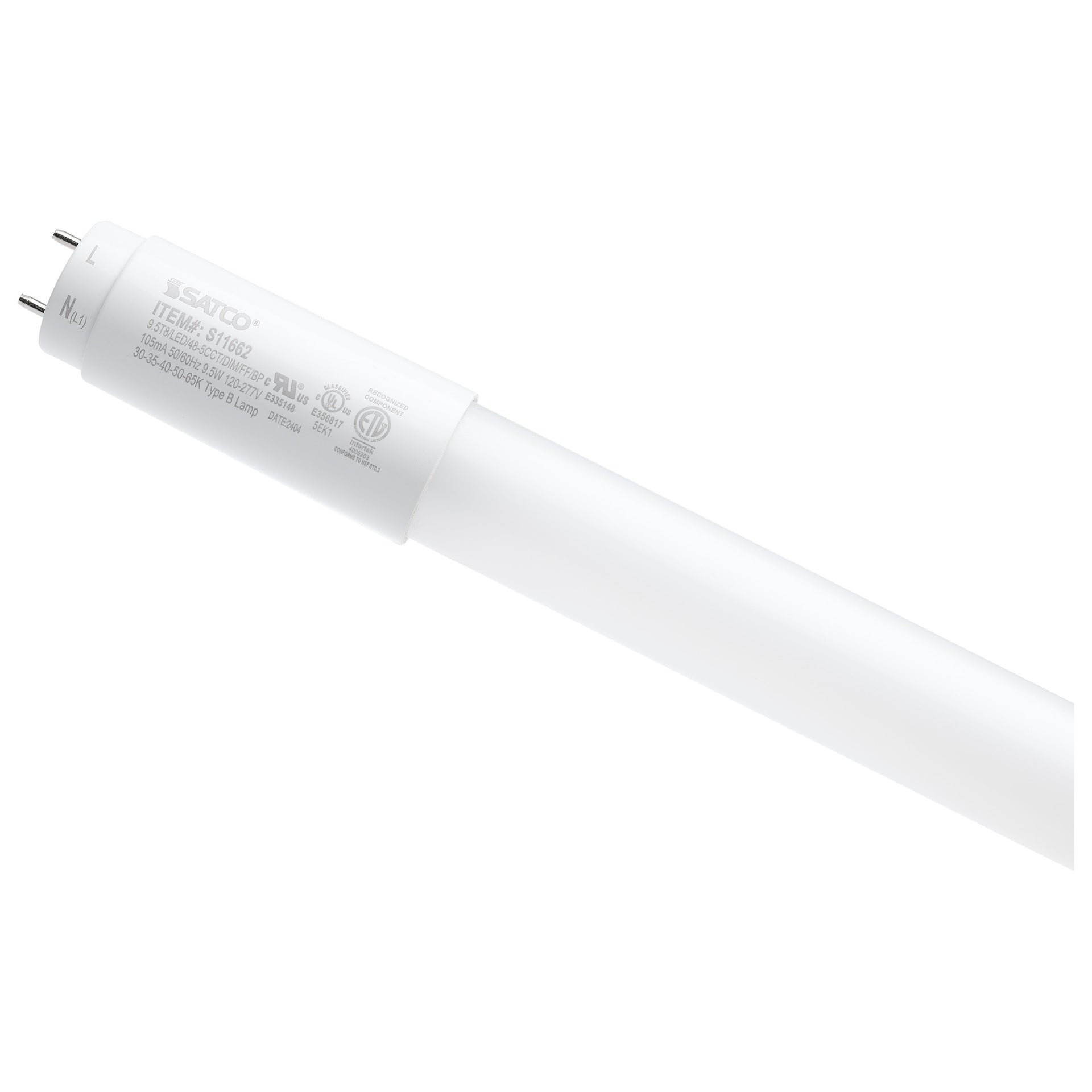 Satco - S11662 - Light Bulb - Frost from Lighting & Bulbs Unlimited in Charlotte, NC