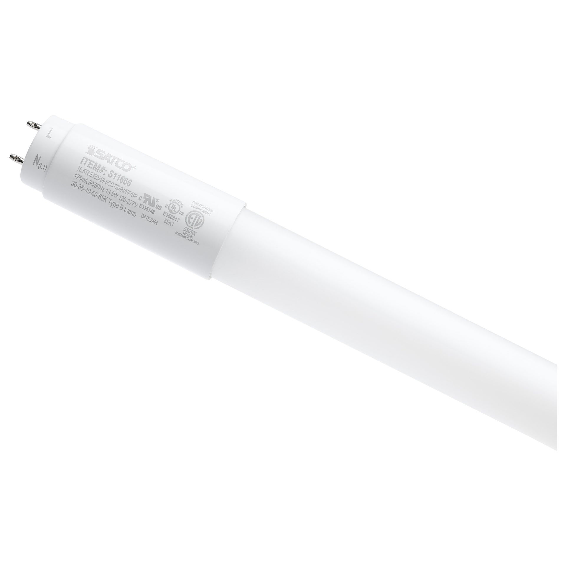 Satco - S11666 - Light Bulb - Frost from Lighting & Bulbs Unlimited in Charlotte, NC