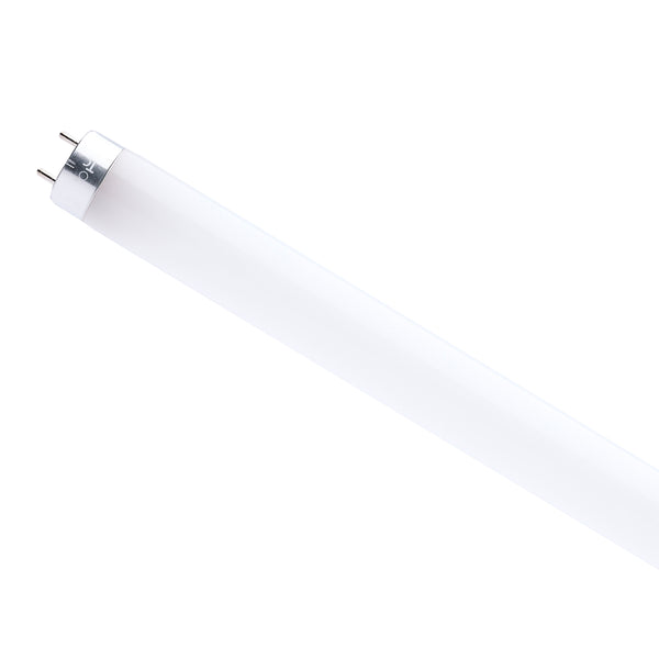Satco - S49978R1 from Lighting & Bulbs Unlimited in Charlotte, NC