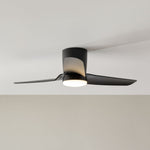 Visual Comfort Fan-3CGHR44MBKD|CUSTOM|1