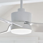 Visual Comfort Fan-3CGR56RZWD|CUSTOM|1