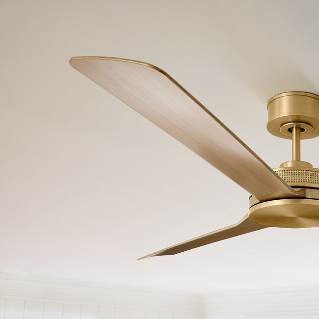 Visual Comfort Fan-3ELASM56BBSNH|CUSTOM|2