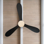 Visual Comfort Fan-3DPSM58MBKD|CUSTOM|3