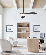 Visual Comfort Fan-3DPSM58MBKD|CUSTOM|4