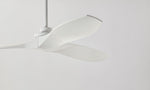 Visual Comfort Fan-3CLNCSM60RZW|CUSTOM|2