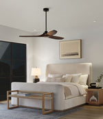 Visual Comfort Fan-3CLNSM60MBK|CUSTOM|2