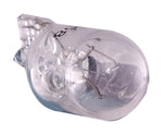 Satco-S7138|ALT|2