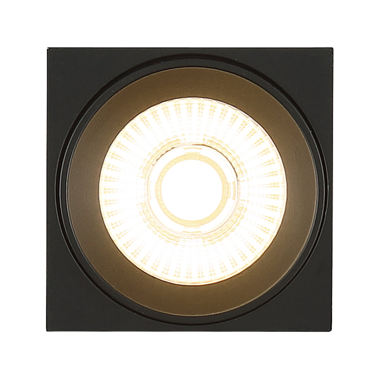 Access-50011LEDD-BL/CLR|ALT|1
