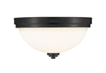 Z-Lite-443F2-MB|ALT|1