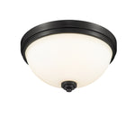 Z-Lite-443F2-MB|ALT|2