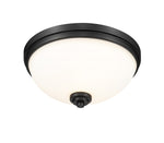 Z-Lite-443F3-MB|ALT|2