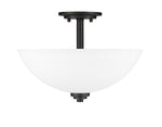 Z-Lite-443SF-MB|ALT|3