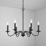 Capital Lighting-437261BI|ALT|3