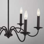 Capital Lighting-437261BI|ALT|4