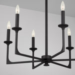 Capital Lighting-437361BI|ALT|4