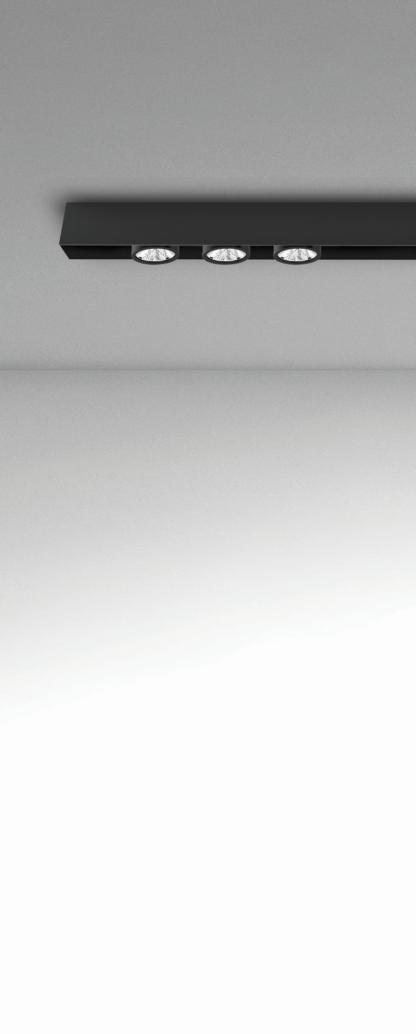 Eurofase-36456-01|ALT|3