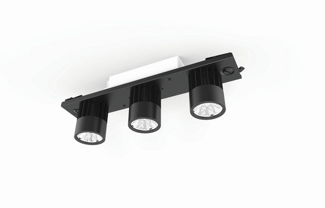 Eurofase-36456-01|MAIN