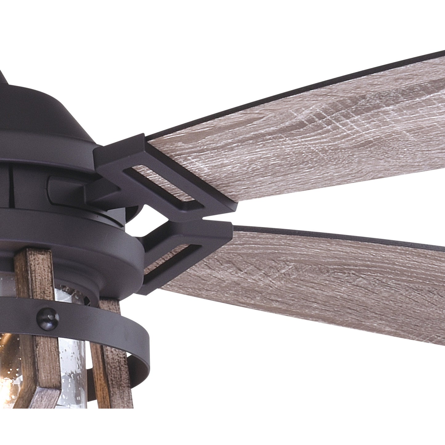 Vaxcel-F0055|ALT|2