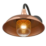 Acclaim Lighting-1742CO|ALT|4
