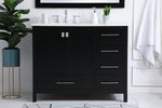 Elegant Lighting-VF18842BK|ALT|10