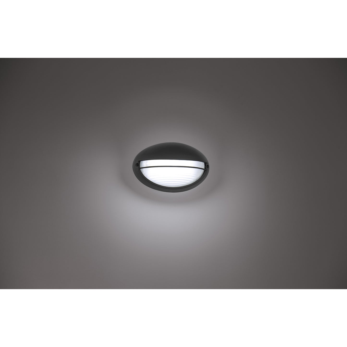 Access-20270LEDDMG-BL/OPL|ALT|6