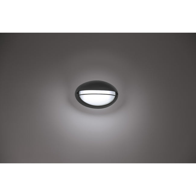 Access-20270LEDDMG-BL/OPL|ALT|6