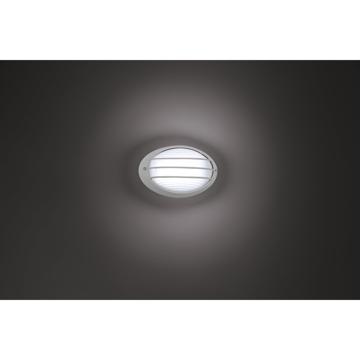 Access-20280LEDDMG-SAT/OPL|ALT|6