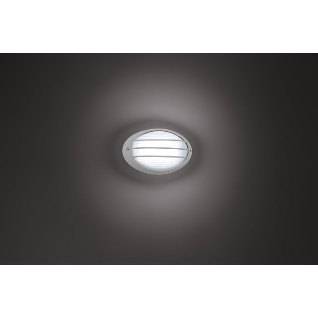 Access-20280LEDDMG-SAT/OPL|ALT|6