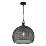 Golden-6802-M BLK|ALT|5