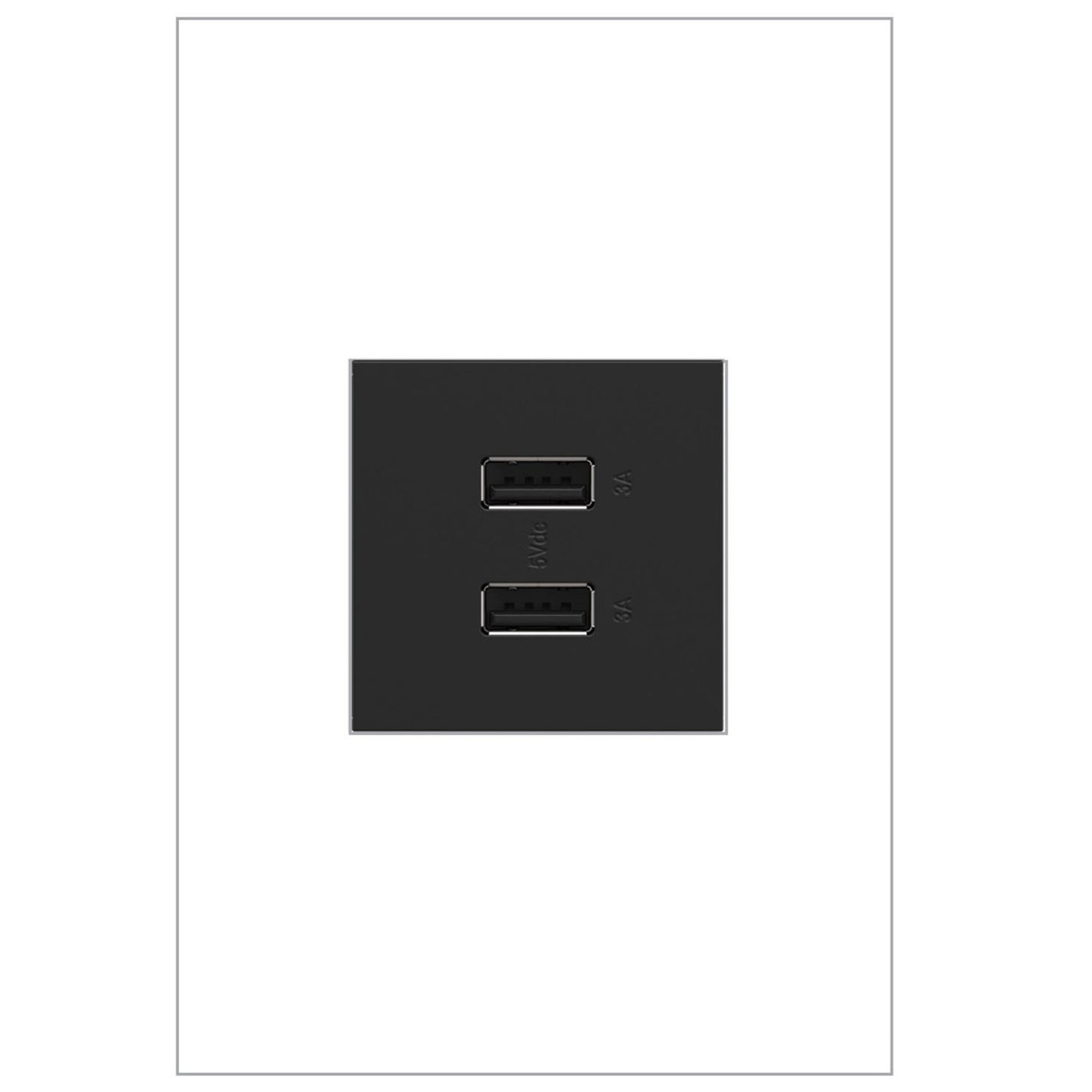 Legrand-ARUSB2AA6G4|ALT|6