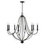 Capital Lighting-441681BI|ALT|1