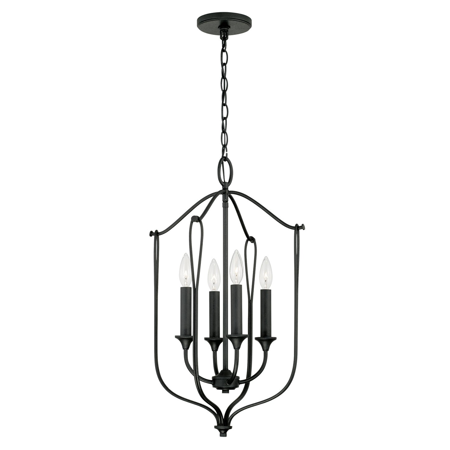 Capital Lighting-541641BI|ALT|1