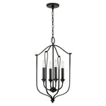 Capital Lighting-541641BI|ALT|1