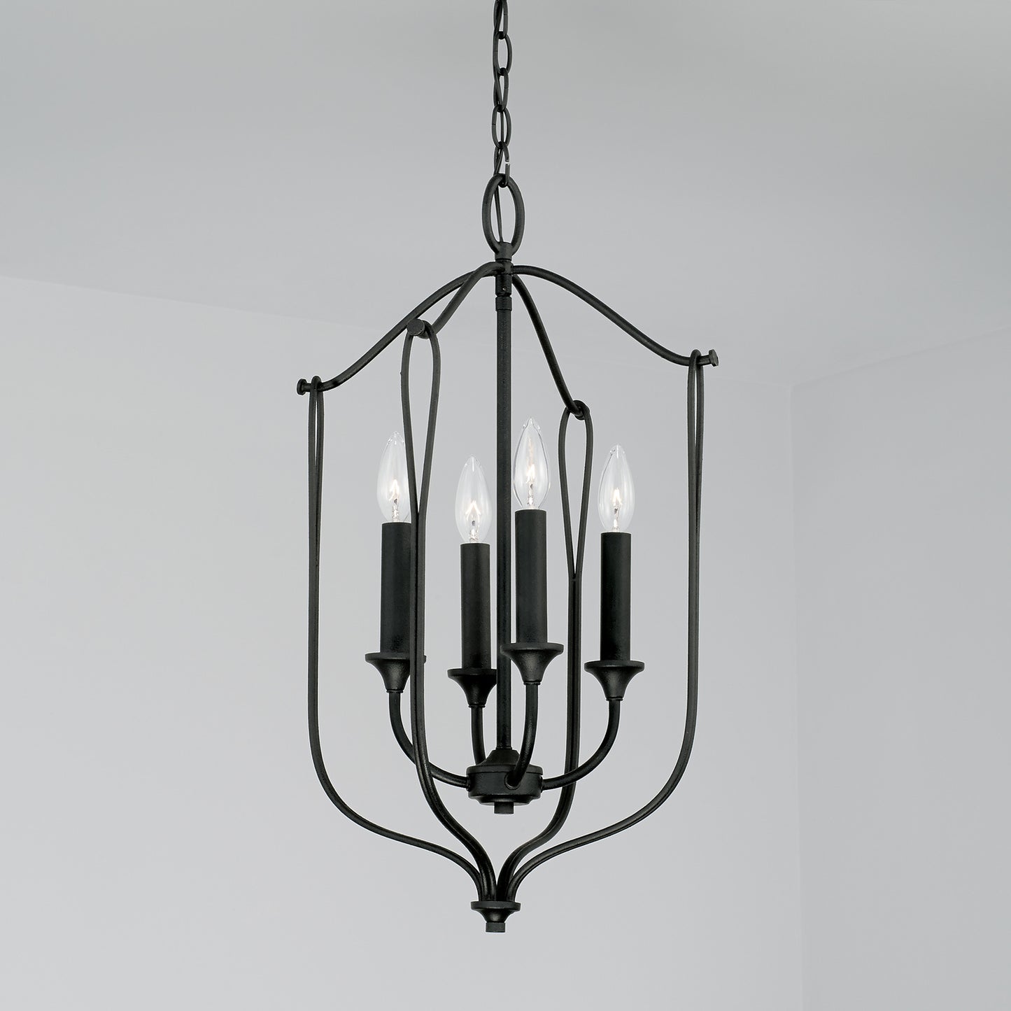 Capital Lighting-541641BI|ALT|2