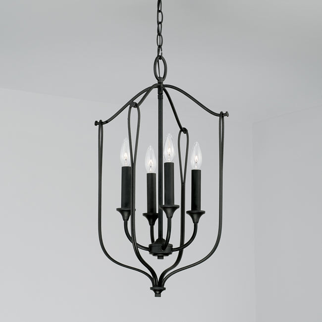 Capital Lighting-541641BI|ALT|2