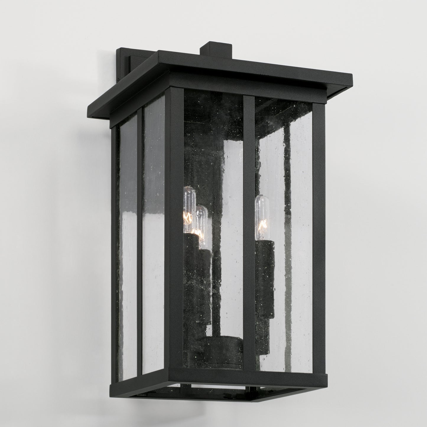 Barrett Wall Lantern by Capital Lighting