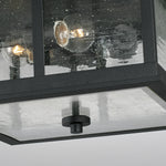 Capital Lighting-943836BK|ALT|3