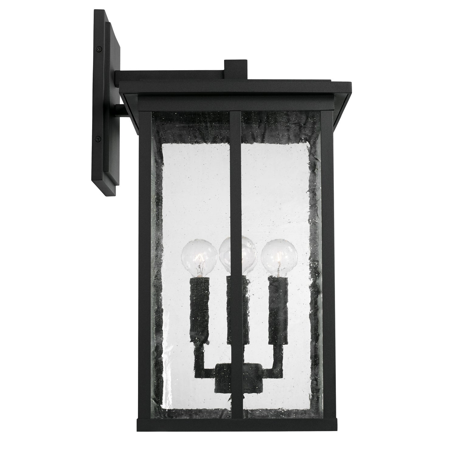 Barrett Wall Lantern by Capital Lighting